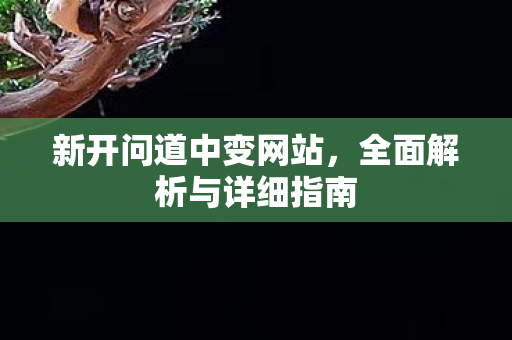 新开问道中变网站，全面解析与详细指南