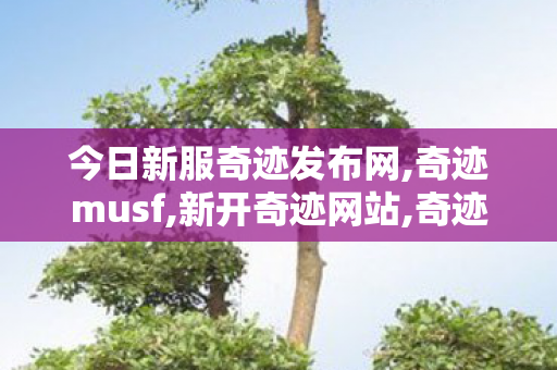 今日新服奇迹发布网,奇迹musf,新开奇迹网站,奇迹musf