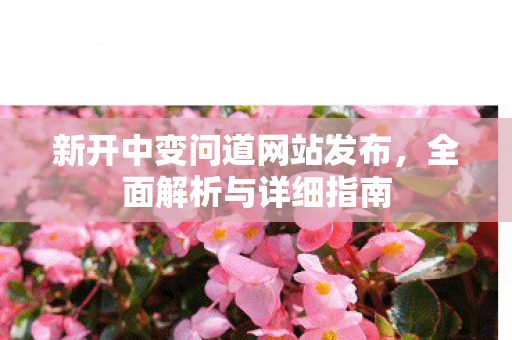 新开中变问道网站发布，全面解析与详细指南