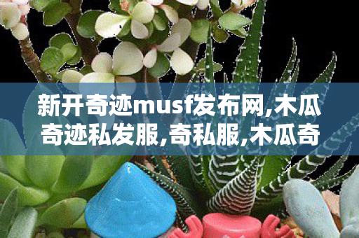 新开奇迹musf发布网,木瓜奇迹私发服,奇私服,木瓜奇迹私发服