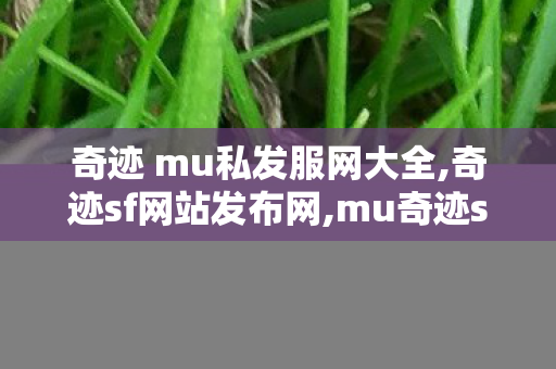 奇迹 mu私发服网大全,奇迹sf网站发布网,mu奇迹sf发布网,奇迹sf网站发布网