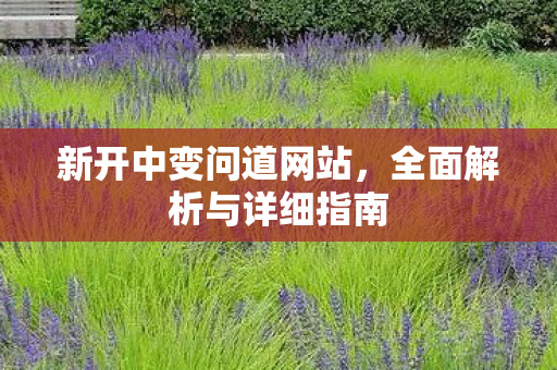 新开中变问道网站，全面解析与详细指南