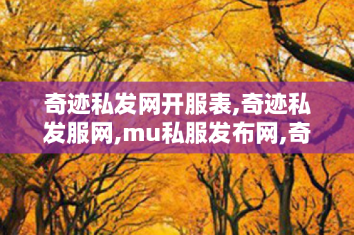 奇迹私发网开服表,奇迹私发服网,mu私服发布网,奇迹私发服网