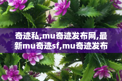 奇迹私,mu奇迹发布网,最新mu奇迹sf,mu奇迹发布网