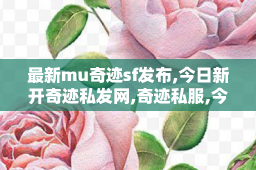 最新mu奇迹sf发布,今日新开奇迹私发网,奇迹私服,今日新开奇迹私发网