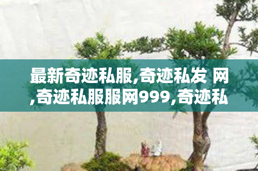 最新奇迹私服,奇迹私发 网,奇迹私服服网999,奇迹私发 网