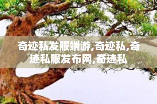 奇迹私发服端游,奇迹私,奇迹私服发布网,奇迹私