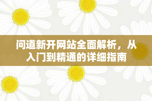 问道新开网站全面解析，从入门到精通的详细指南