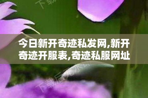 今日新开奇迹私发网,新开奇迹开服表,奇迹私服网址,新开奇迹开服表