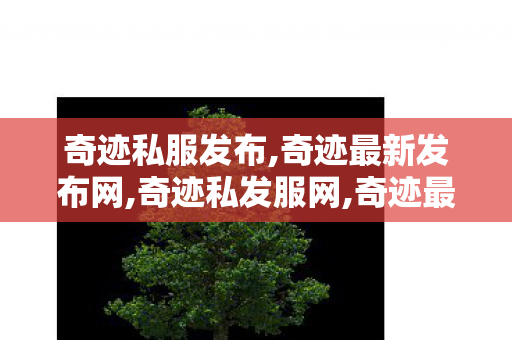 奇迹私服发布,奇迹最新发布网,奇迹私发服网,奇迹最新发布网