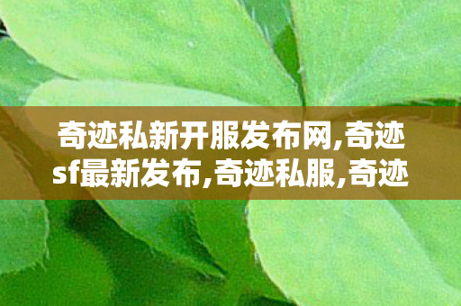 奇迹私新开服发布网,奇迹sf最新发布,奇迹私服,奇迹sf最新发布