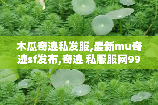 木瓜奇迹私发服,最新mu奇迹sf发布,奇迹 私服服网999,最新mu奇迹sf发布