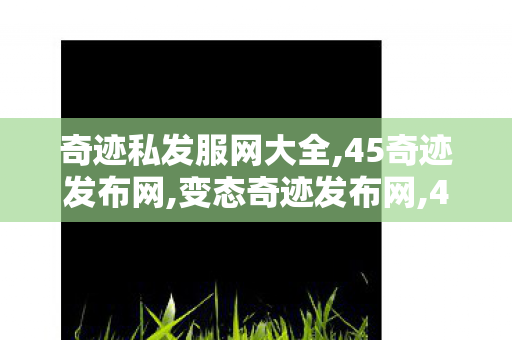 奇迹私发服网大全,45奇迹发布网,变态奇迹发布网,45奇迹发布网