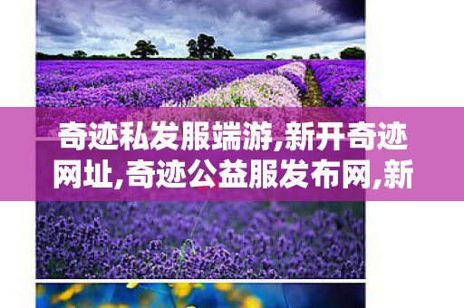 奇迹私发服端游,新开奇迹网址,奇迹公益服发布网,新开奇迹网址