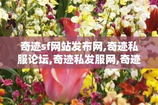 奇迹sf网站发布网,奇迹私服论坛,奇迹私发服网,奇迹私服论坛