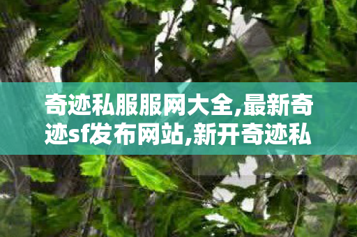 奇迹私服服网大全,最新奇迹sf发布网站,新开奇迹私发网,最新奇迹sf发布网站