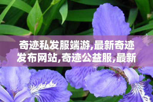 奇迹私发服端游,最新奇迹发布网站,奇迹公益服,最新奇迹发布网站