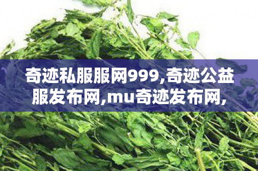 奇迹私服服网999,奇迹公益服发布网,mu奇迹发布网,奇迹公益服发布网