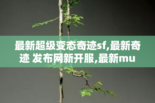 最新超级变态奇迹sf,最新奇迹 发布网新开服,最新mu奇迹sf发布,最新奇迹 发布网新开服
