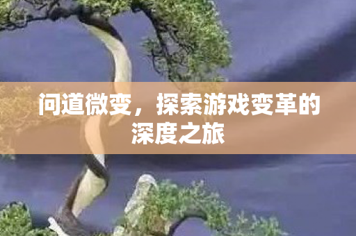 问道微变，探索游戏变革的深度之旅