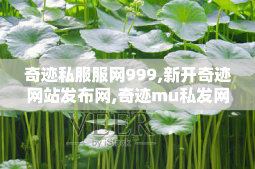 奇迹私服服网999,新开奇迹网站发布网,奇迹mu私发网,新开奇迹网站发布网