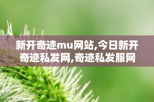 新开奇迹mu网站,今日新开奇迹私发网,奇迹私发服网,今日新开奇迹私发网