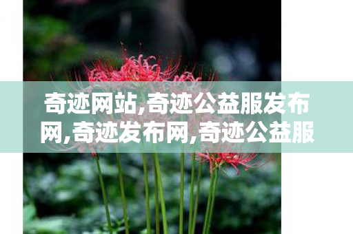 奇迹网站,奇迹公益服发布网,奇迹发布网,奇迹公益服发布网