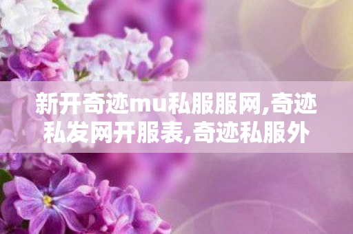新开奇迹mu私服服网,奇迹私发网开服表,奇迹私服外网架设,奇迹私发网开服表