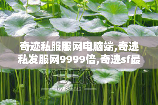 奇迹私服服网电脑端,奇迹私发服网9999倍,奇迹sf最新,奇迹私发服网9999倍