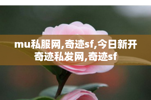 mu私服网,奇迹sf,今日新开奇迹私发网,奇迹sf