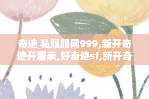 奇迹 私服服网999,新开奇迹开服表,好奇迹sf,新开奇迹开服表