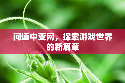 问道中变网，探索游戏世界的新篇章