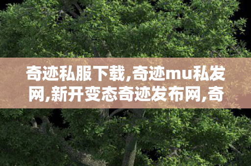 奇迹私服下载,奇迹mu私发网,新开变态奇迹发布网,奇迹mu私发网