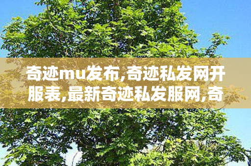 奇迹mu发布,奇迹私发网开服表,最新奇迹私发服网,奇迹私发网开服表