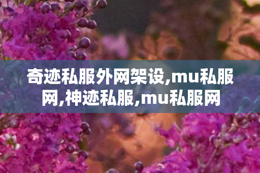 奇迹私服外网架设,mu私服网,神迹私服,mu私服网