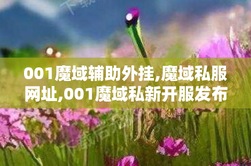 001魔域辅助外挂,魔域私服网址,001魔域私新开服发布网,魔域私服网址