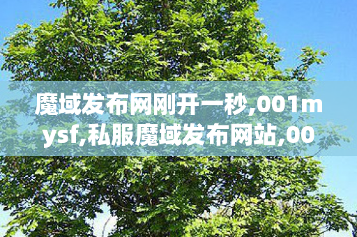 魔域发布网刚开一秒,001mysf,私服魔域发布网站,001mysf