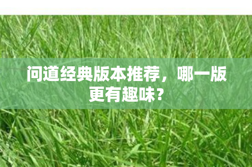 问道经典版本推荐，哪一版更有趣味？
