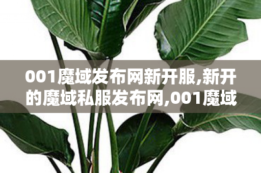 001魔域发布网新开服,新开的魔域私服发布网,001魔域发布网,新开的魔域私服发布网