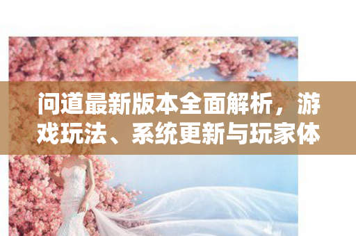 问道最新版本全面解析，游戏玩法、系统更新与玩家体验升级