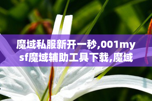 魔域私服新开一秒,001mysf魔域辅助工具下载,魔域网页游戏变态版,001mysf魔域辅助工具下载