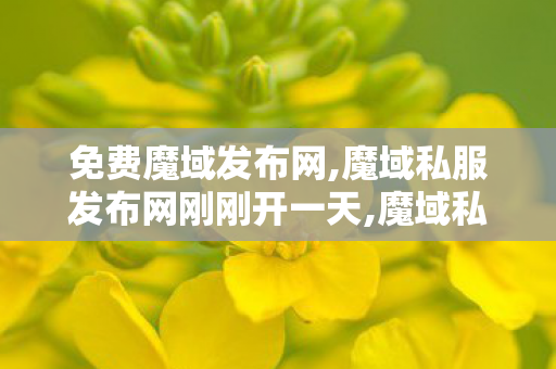 免费魔域发布网,魔域私服发布网刚刚开一天,魔域私服官网,魔域私服发布网刚刚开一天
