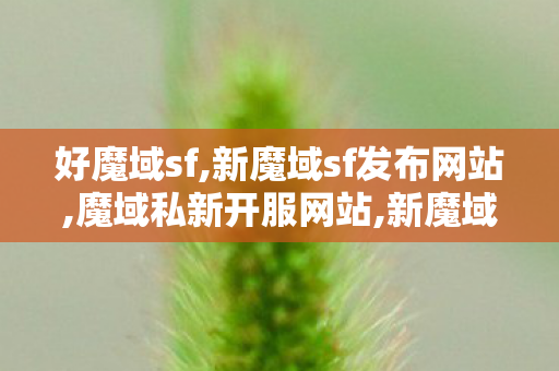 好魔域sf,新魔域sf发布网站,魔域私新开服网站,新魔域sf发布网站
