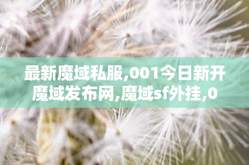 最新魔域私服,001今日新开魔域发布网,魔域sf外挂,001今日新开魔域发布网