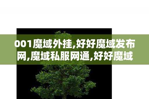 001魔域外挂,好好魔域发布网,魔域私服网通,好好魔域发布网