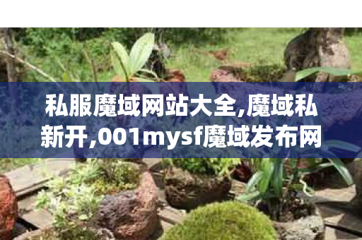 私服魔域网站大全,魔域私新开,001mysf魔域发布网新开服,魔域私新开