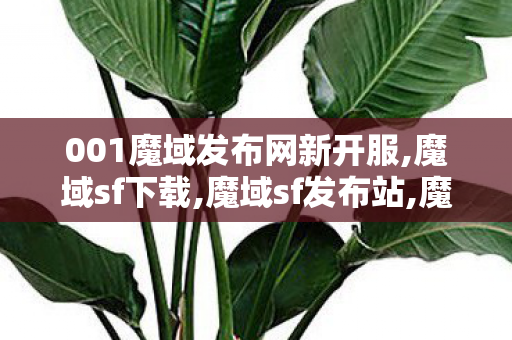 001魔域发布网新开服,魔域sf下载,魔域sf发布站,魔域sf下载