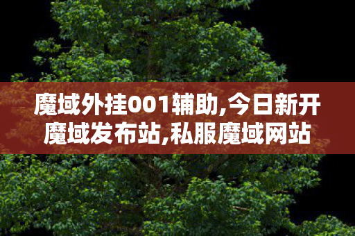 魔域外挂001辅助,今日新开魔域发布站,私服魔域网站,今日新开魔域发布站