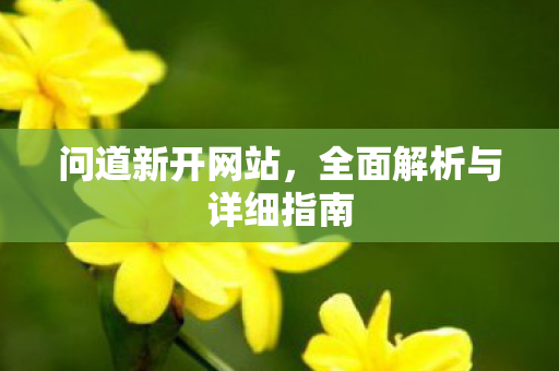 问道新开网站，全面解析与详细指南