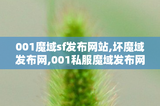 001魔域sf发布网站,坏魔域发布网,001私服魔域发布网,坏魔域发布网